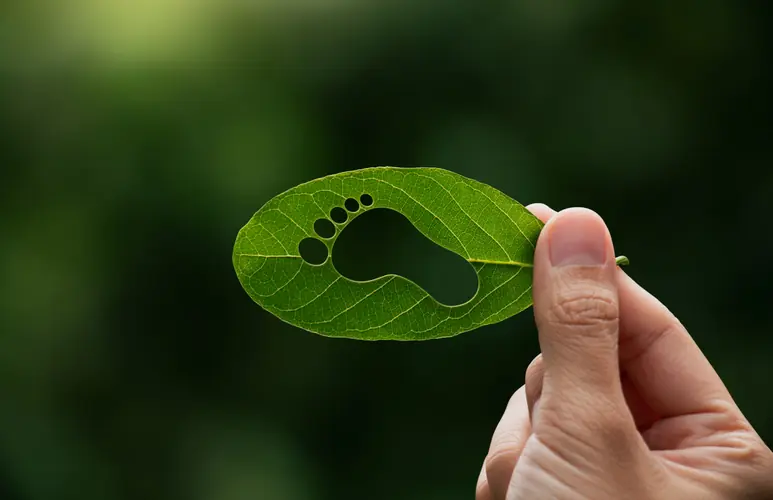 Empreinte carbone et cycle de vie — feuille et environnement