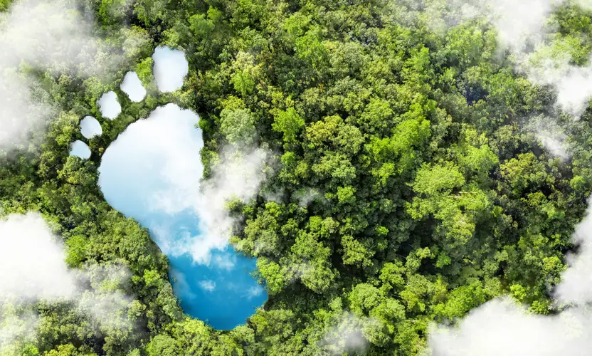 Forêt vue du ciel — empreinte carbone et biodiversité